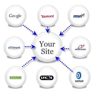 Domain Popularity