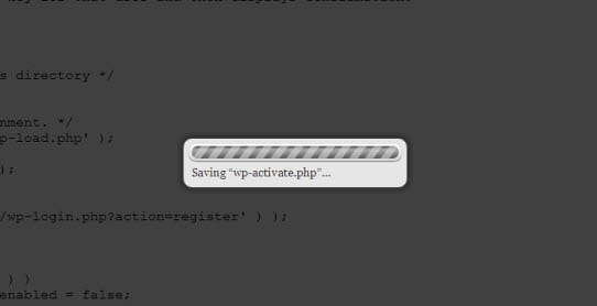 saving-editfile-mochahost
