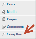 Custom post type