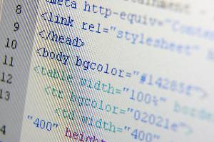 Học gì để thiết kế theme WordPress