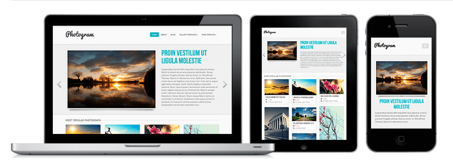 Theme WordPress miễn phí đẹp nhất tháng 6 2013