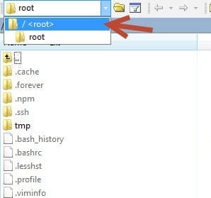 Trỏ về thư mục gốc của VPS