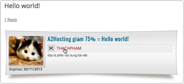 Chèn coupon vào bài viết