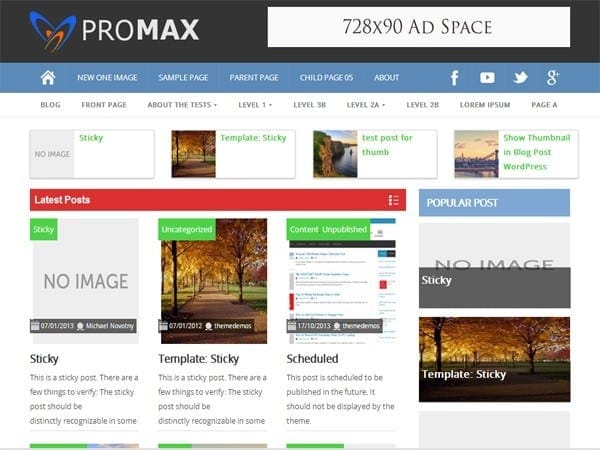 Promax theme