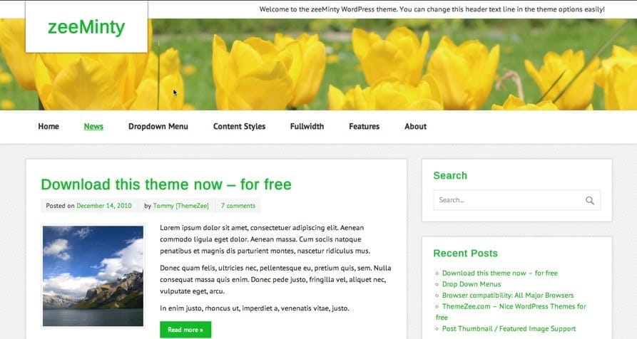 zeeMinty theme
