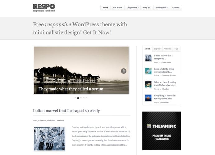Respo Theme