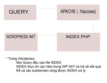 WordPress Rewrite