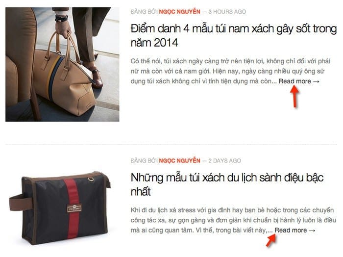 wordpress-excerpt-notoptimize