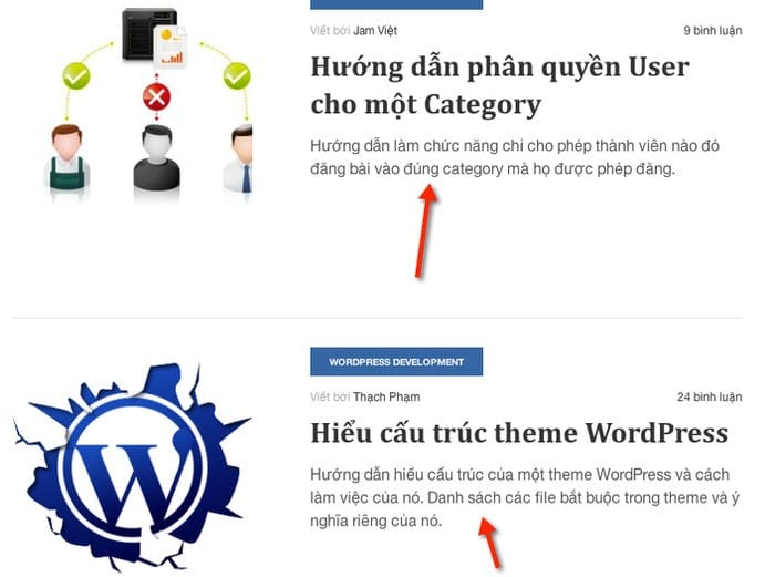 Excerpt đã được tối ưu