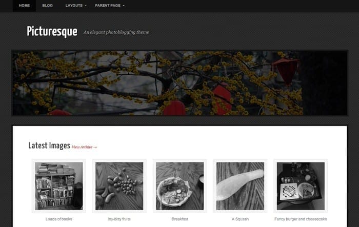 PicturesqueTheme