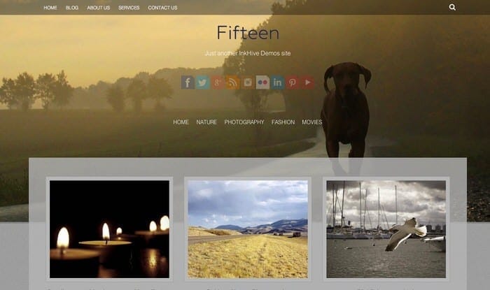 fifteen-themee