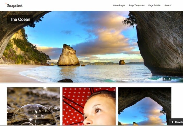 snapshot-theme