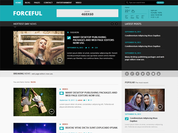 forceful-lite-theme