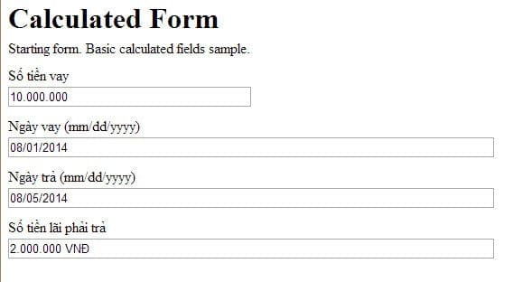 calculated-fields-form-preview