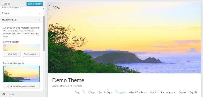 setup-theme-demo5