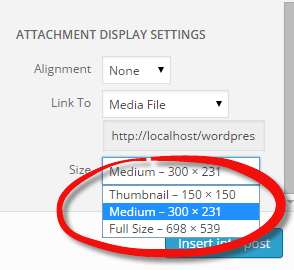 wpmedia-insertmedia