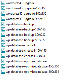 wpmedia-sizeexport