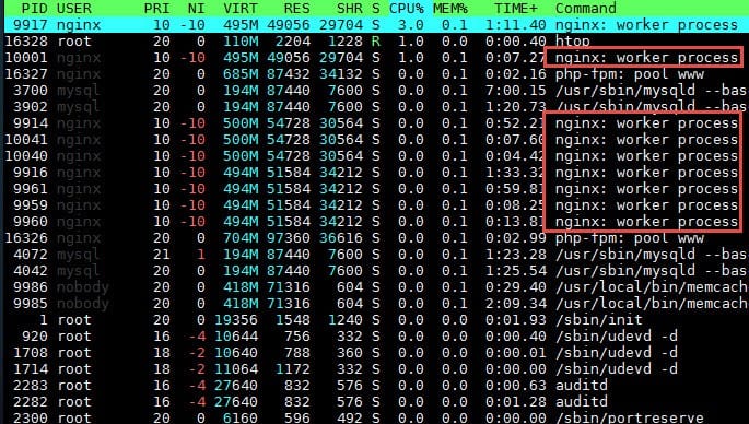 nginx-worker-process
