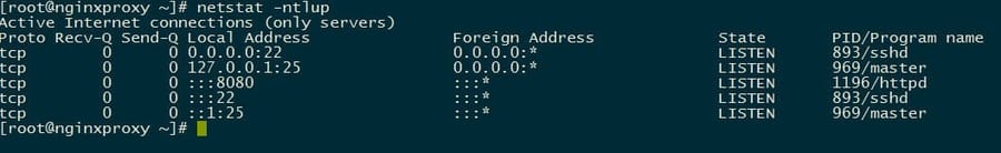 nginxproxy-checkapacheport