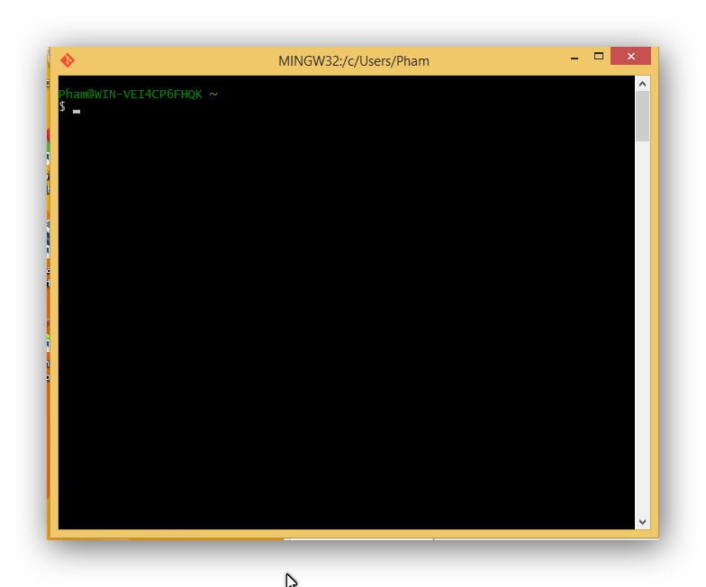 git-bash