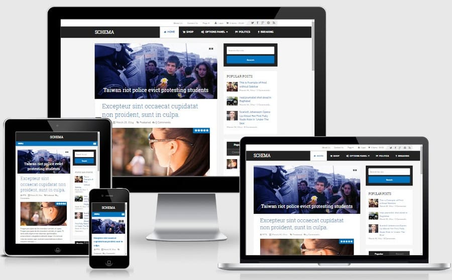 schema-mythemeshop-theme