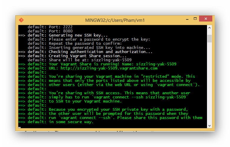 vagrant-share-ssh-finish