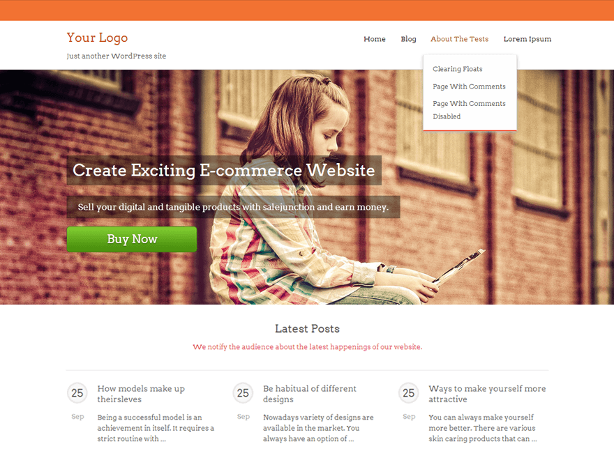 salejunction-theme