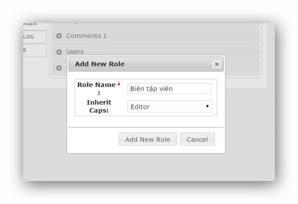 aam-create-role-02