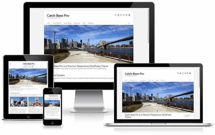 catch-base-pro
