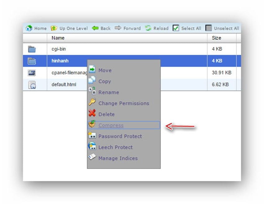 cpanel-compressfile
