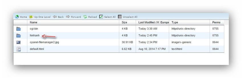 cpanel-taofolder3
