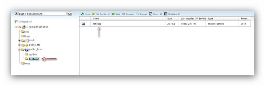 cpanel-taofolder4