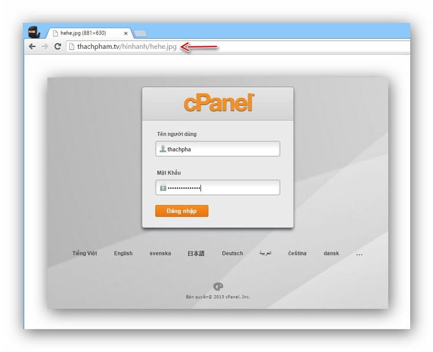 cpanel-taofolder5