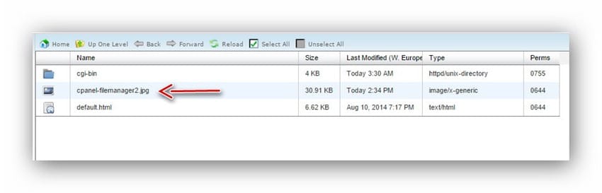 cpanel-uploadfile3