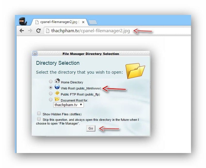cpanel-uploadfile4