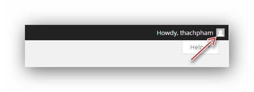 empty-avatar-wordpress