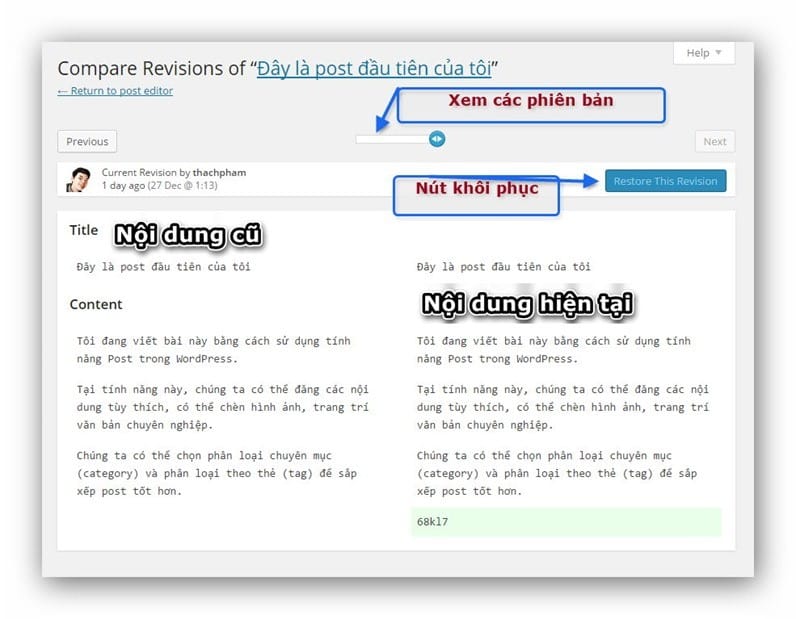 giao-dien-revision-wordpress