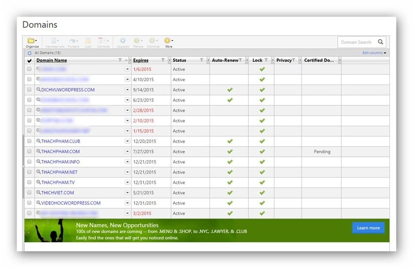 godaddy-mydomain