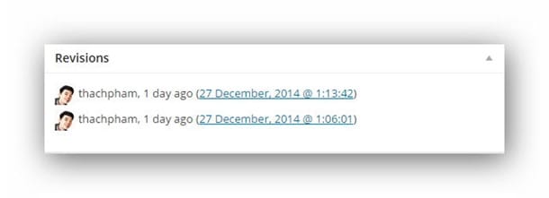 revision-wordpress-post
