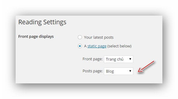 set-blogpage