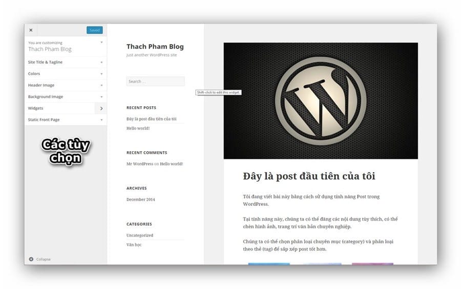 wordpress-customize