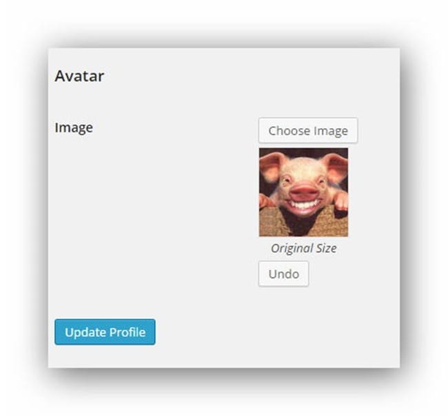 wp-user-avatar