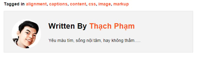 laptrinhtheme-finish-authorbox