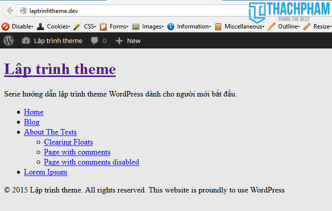 laptrinhtheme-finish-footer