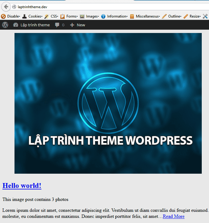 laptrinhtheme-finish-imageformat