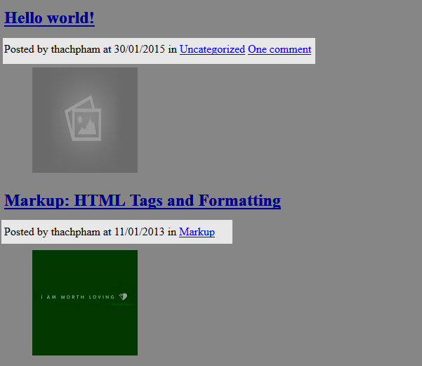 laptrinhtheme-finish-postmeta