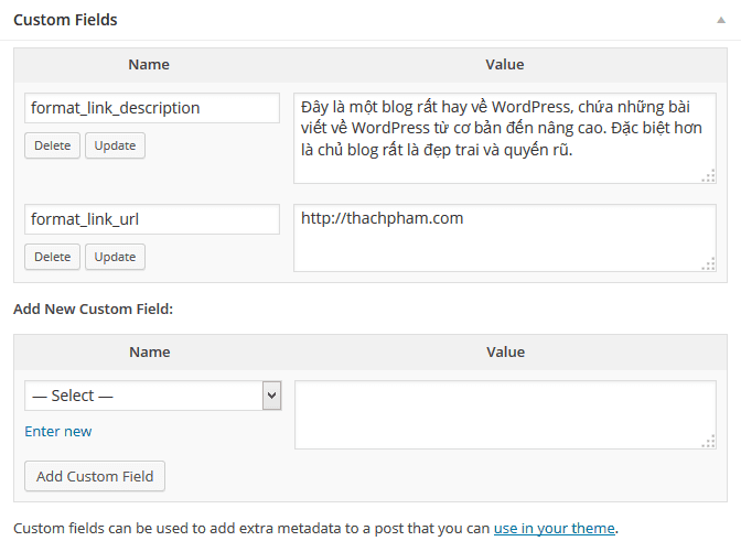 laptrinhtheme-formatlink-field