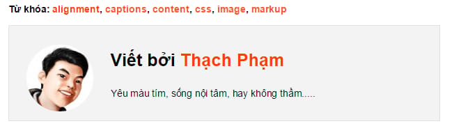 laptrinhtheme-taongonngu-07