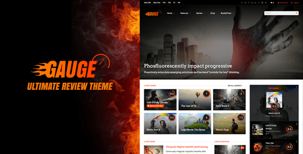 gauge-review-theme
