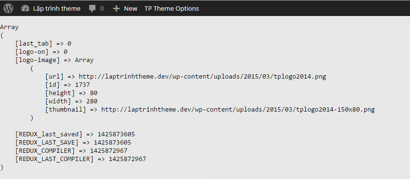 laptrinhtheme-themeoptions-05
